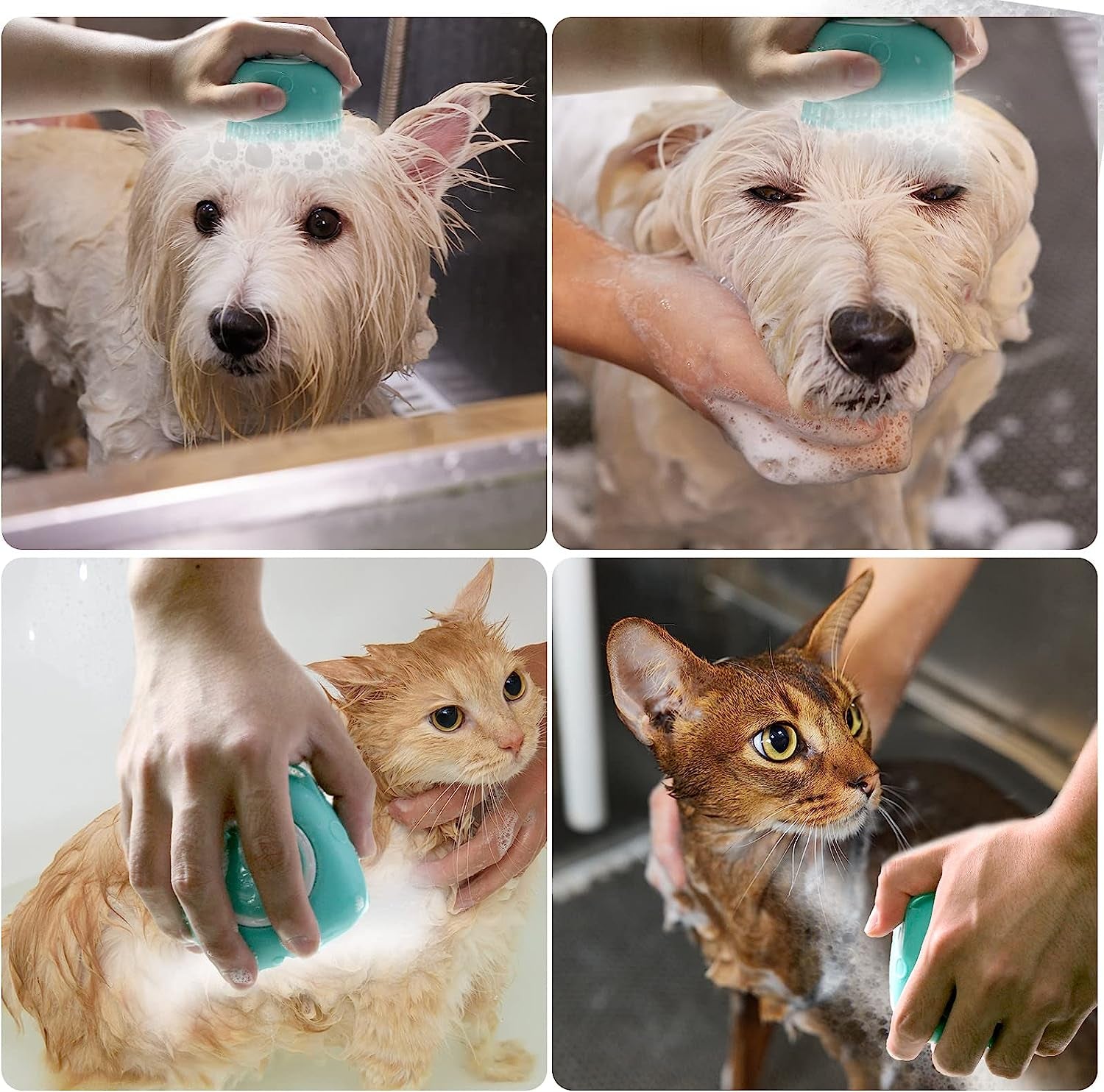 Dog Bath Brush, Pet Massage Brush Shampoo Dispenser, Soft Silicone Brush Rubber Bristle for Dogs and Cats Shower Grooming
